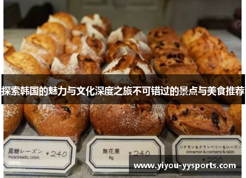 探索韩国的魅力与文化深度之旅不可错过的景点与美食推荐